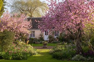Traditional English cottage nestled in a vibrant spring garden w, a Photo by Studio ANNA