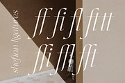 Shefian Modern Serif Font, a Serif Font by Storytype Studio (Thumbnail 5 of 15)