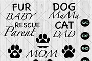 35 Dog 10 Cat Breed Bundle, a Templates & Theme by QualityGraphics (Thumbnail 4 of 4)