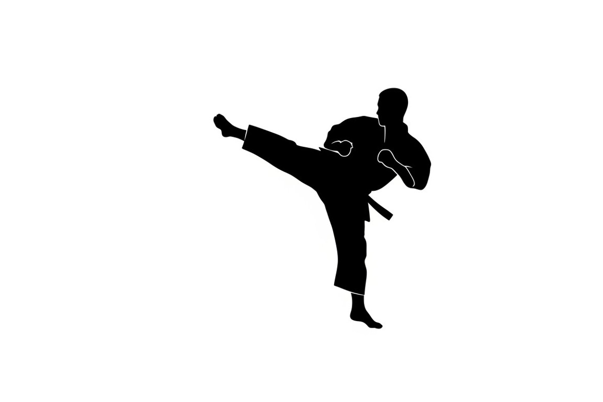 Dynamic martial arts kick silhouette, an Illustration by Amazin_art (Photo 4 of 36)