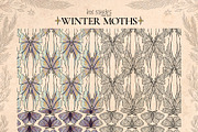 Winter Moths & Evergreen Botanicals, a Seasonal Illustration by Ink Stories (Thumbnail 10 of 15)