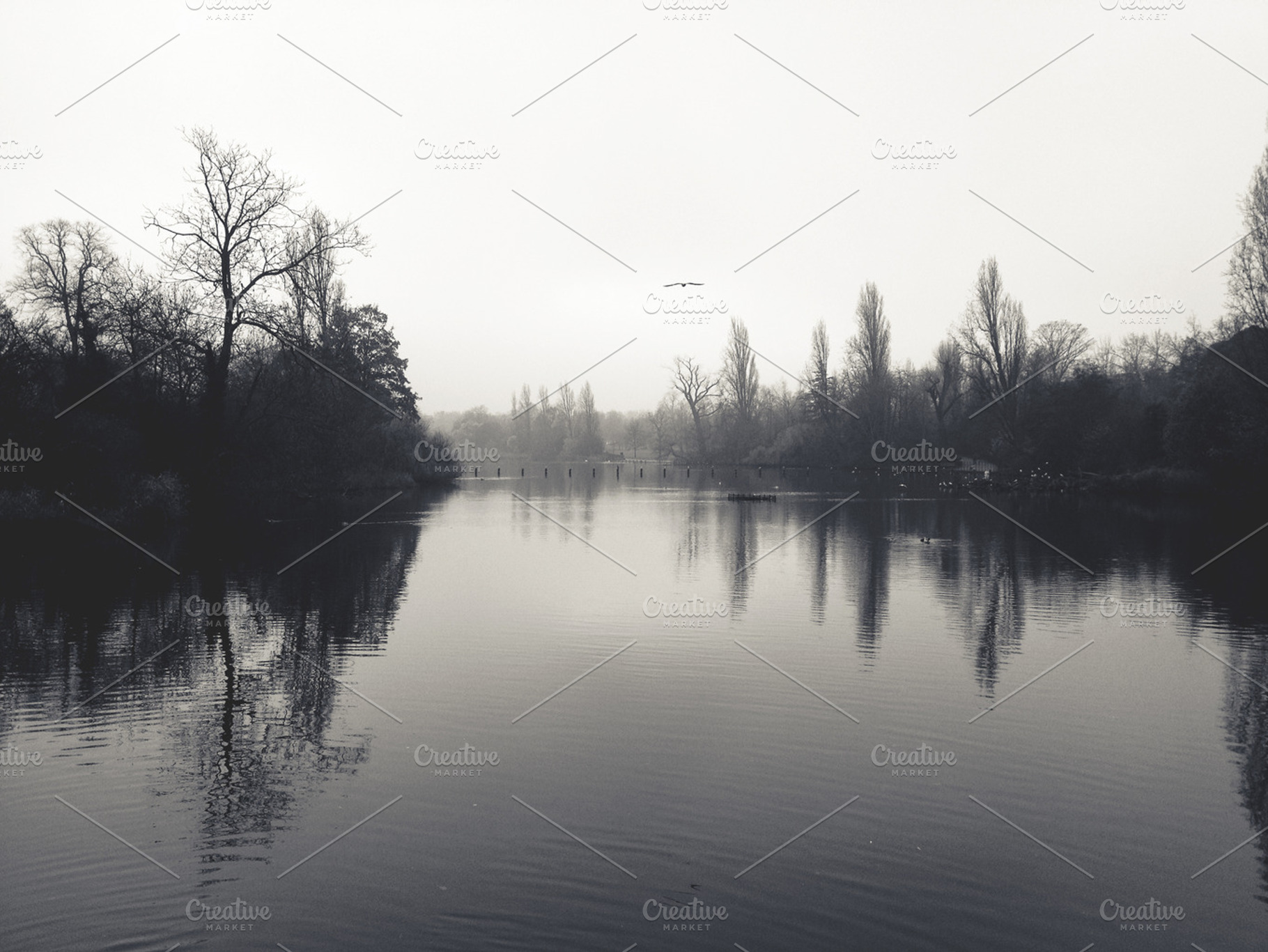 Walking In Hyde Park