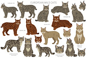 European wild cats clipart, an Animal Illustration by pet design shop (Thumbnail 2 of 10)