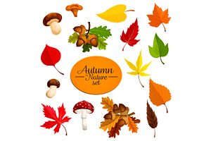 Autumn Falling Leaf Forest Mushrooms Vector Set