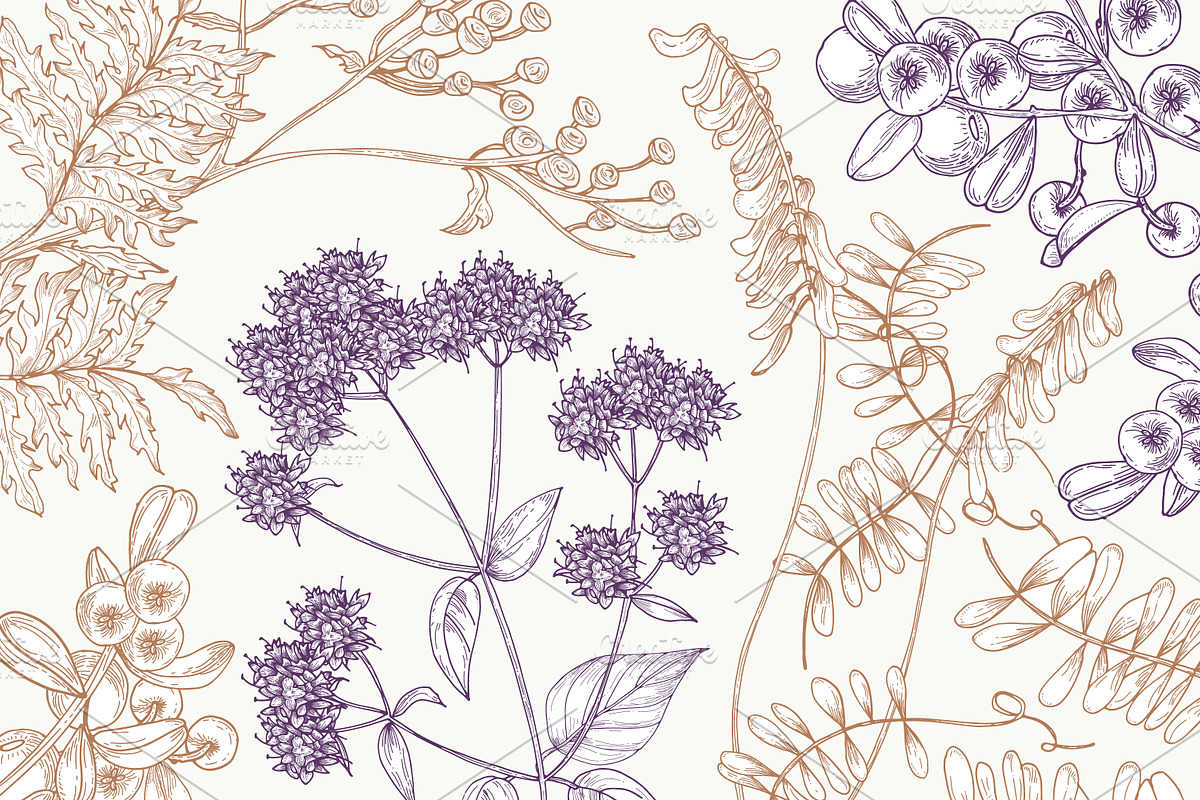 Wild flowers,herbs,herbaceous plants, a Texture Illustration by Good Studio (Photo 22 of 22)