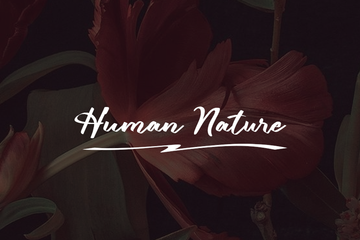 Lubirens, a Script Font by GlottaTypeface (Photo 2 of 8)