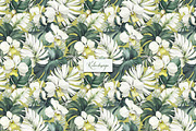 Tropical Seamless Patterns, a Pattern Graphic by Lisima (Thumbnail 12 of 16)