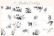 Santa Fiora SVG Font Duo, a Script Font by Ivan Rosenberg (Thumbnail 11 of 15)