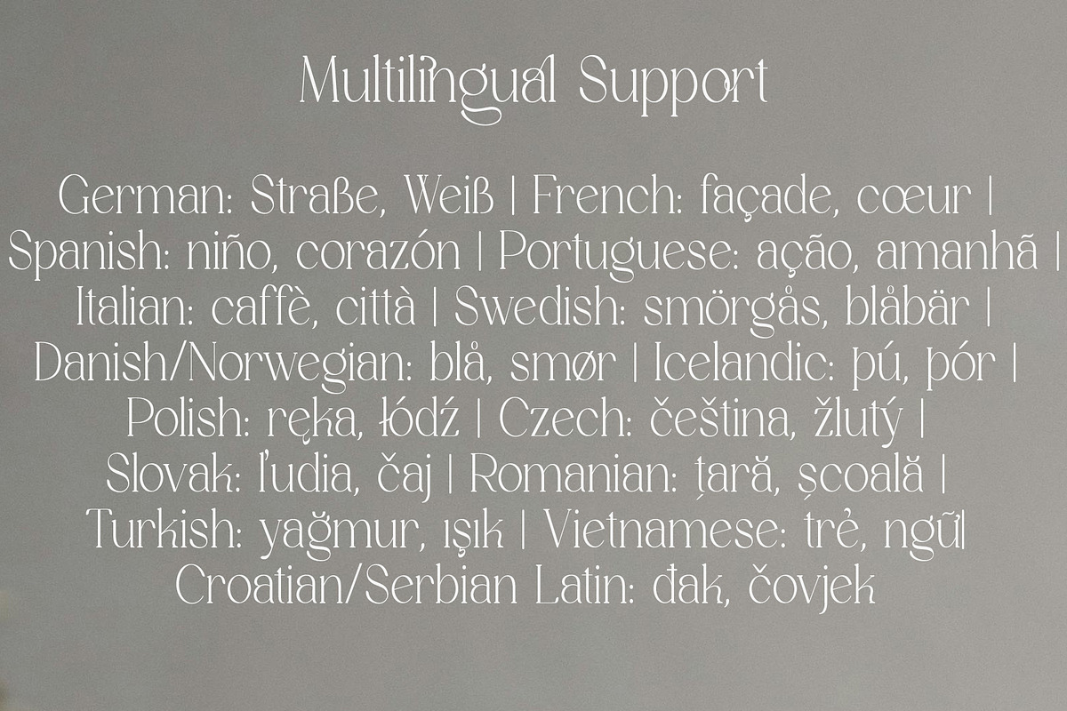 Stivra – Serif Font Family, a Serif Font by NDNL Studio (Photo 8 of 11)