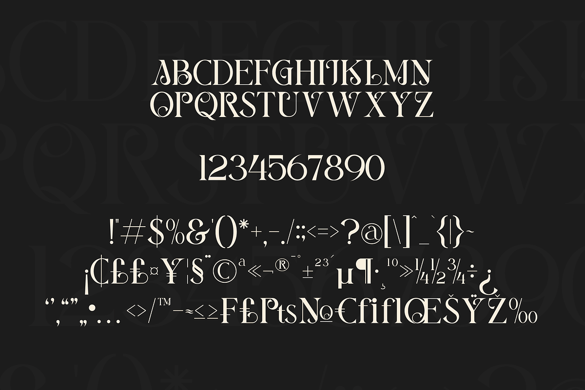 Berang Berang Serif Display Font, a Serif Font by Maryamtype Studio (Photo 14 of 15)