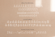 Canabi | A Classic Serif Font, a Serif Font by Avchi (Thumbnail 5 of 10)