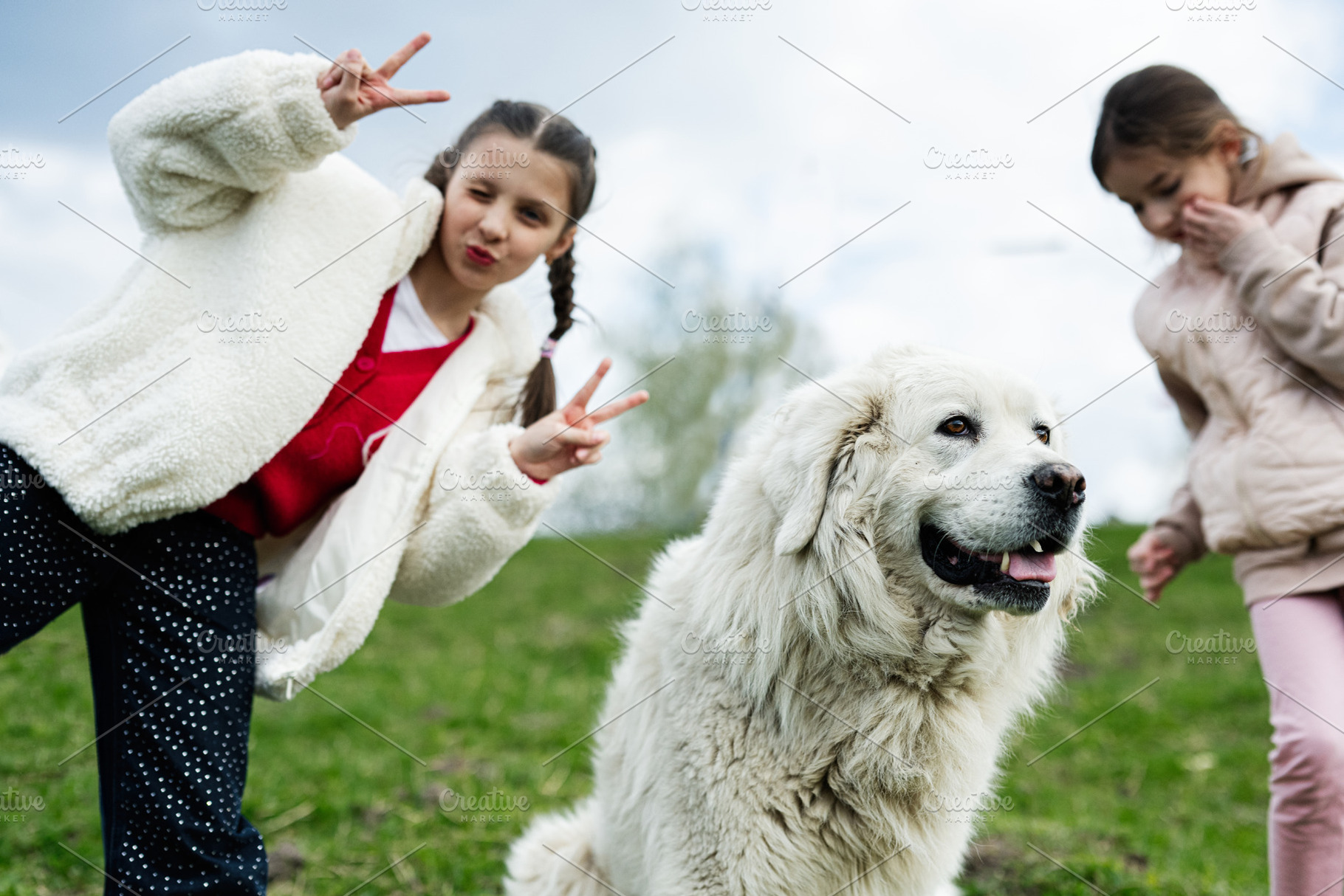Two young girls playing outdoors with a large white dog on a grassy hill, happy, a Person Photo by AS photostudio