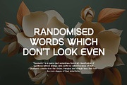 Forehands Rounded Elegant Sans Serif, a Sans Serif Font by UICreative (Thumbnail 3 of 13)