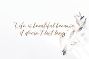 Bowthen Signature, a Script Font by Pustudio (Thumbnail 5 of 6)