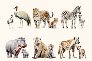Watercolor Safari Animals Clipart, an Animal Illustration by Primrose Blume (Thumbnail 4 of 6)
