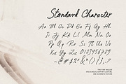 Paradine - Ligature Handwritten Font, a Handwritten Font by Sarid Ezra (Thumbnail 11 of 12)