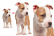 PRO Painted Painting Action, an Action Add-On by Photoshop Action (Thumbnail 2 of 5)