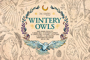 Wintery Owls, an Animal Illustration by Ink Stories (Thumbnail 1 of 26)