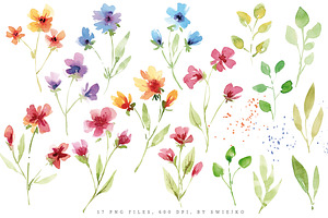 Watercolor Meadow Flowers