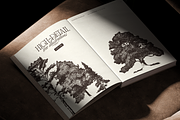 High Detail Tree Sketches Collection, an Object Graphic by TheMountBirdStudio (Thumbnail 7 of 7)