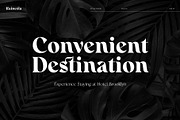 Rainesta Font, a Serif Font by Digitype Studio (Thumbnail 2 of 10)