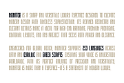 Monateb – A Font Family (44 Fonts), a Font by alpercakici (Thumbnail 2 of 16)