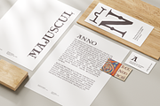 Carolingian Majuscule medieval font, a Serif Font by kaer_shop (Thumbnail 9 of 11)