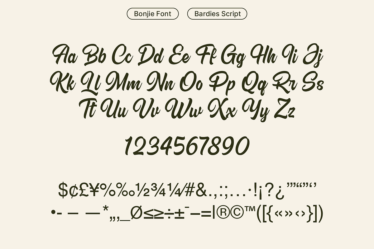Bardies Bold Script Font, a Script Font by Pipello Grafik (Photo 10 of 11)