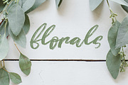 Justify Brush Script Font, a Script Font by Creativeqube Design (Thumbnail 4 of 5)