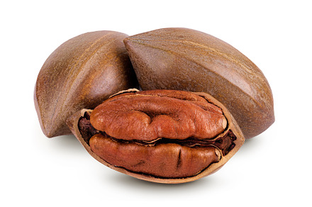 broken pecan nut isolated on white, a Food & Drink Photo by NataPhoto