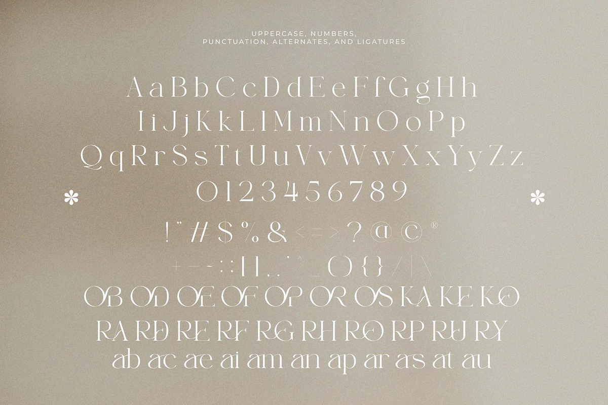 Loral Virel – Minimal Ligature, a Serif Font by Muflieart (Photo 9 of 10)