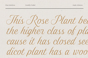 Gold Lines; Elegant Font Duo