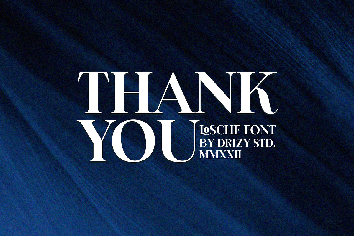 Losche, a Font by Drizy (Photo 10 of 10)