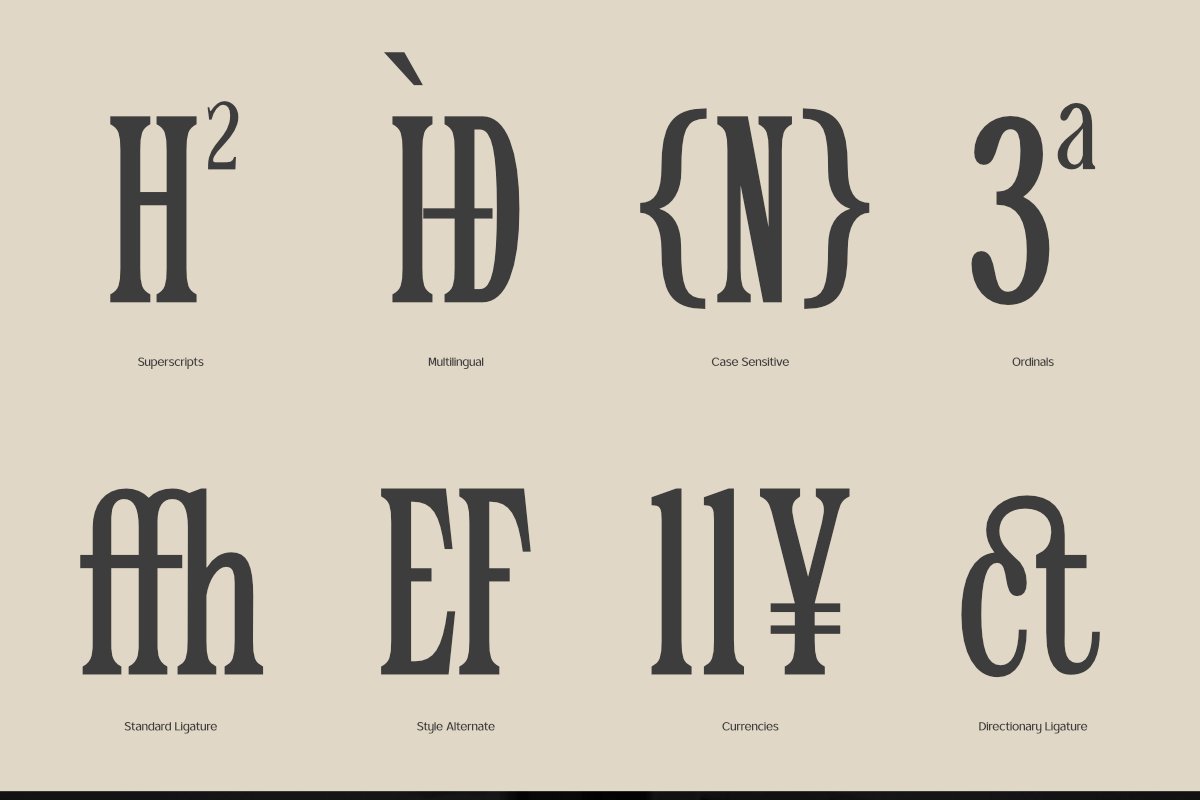TRT Epic Dope – Condensed Serif, a Serif Font by truetype (Photo 5 of 10)