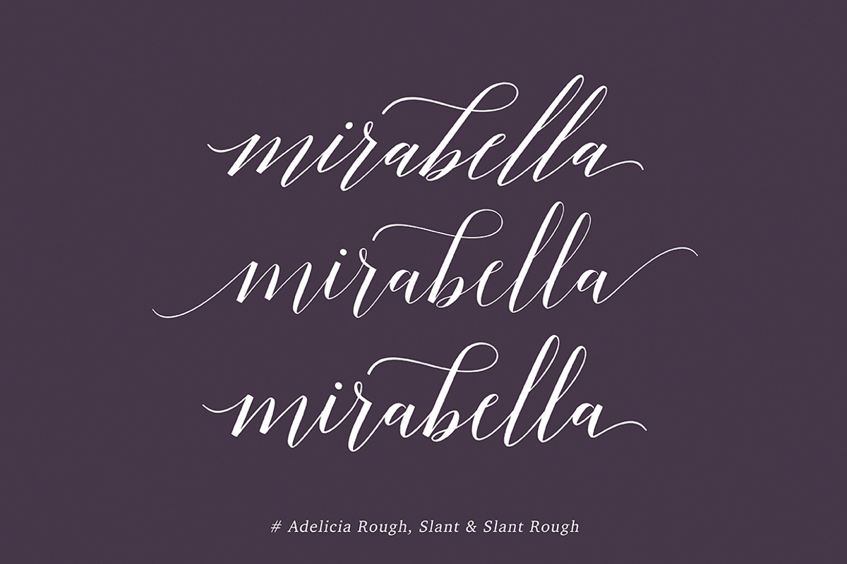 Adelicia Script Font | FontCypress