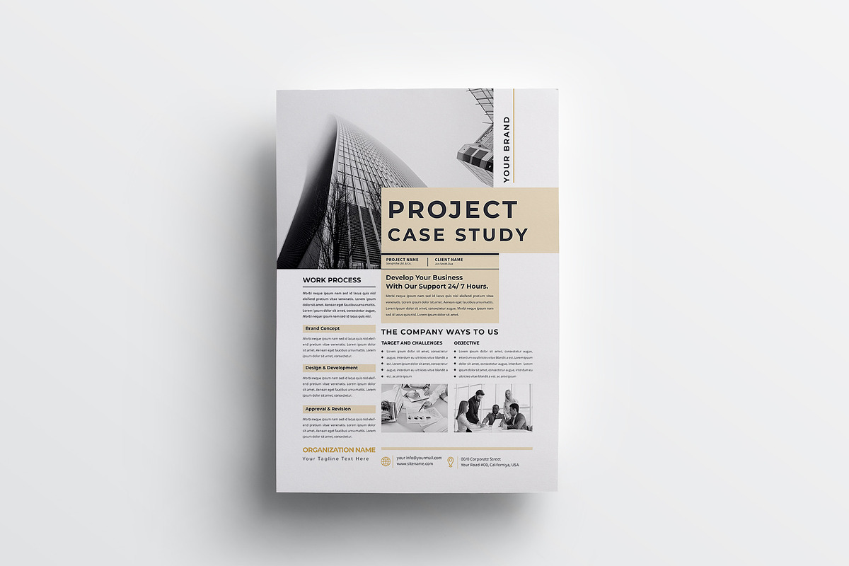Project Case Study, a Flyer Template by design_hut (Photo 3 of 4)