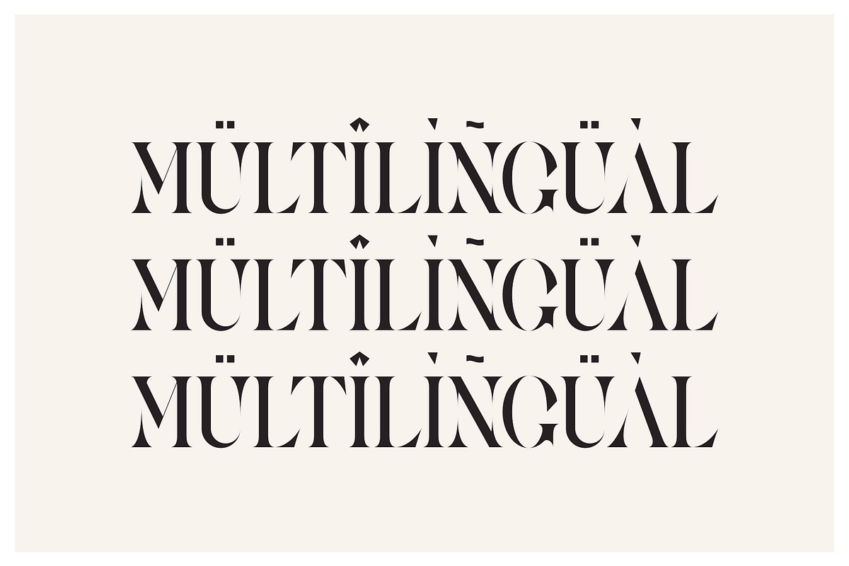 Arina Ligature Serif Typeface, a Serif Font by yaqublekker (Photo 8 of 9)