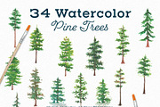 Watercolor Pine Tree Elements, an Illustration by ECHOFOXX (Thumbnail 2 of 4)