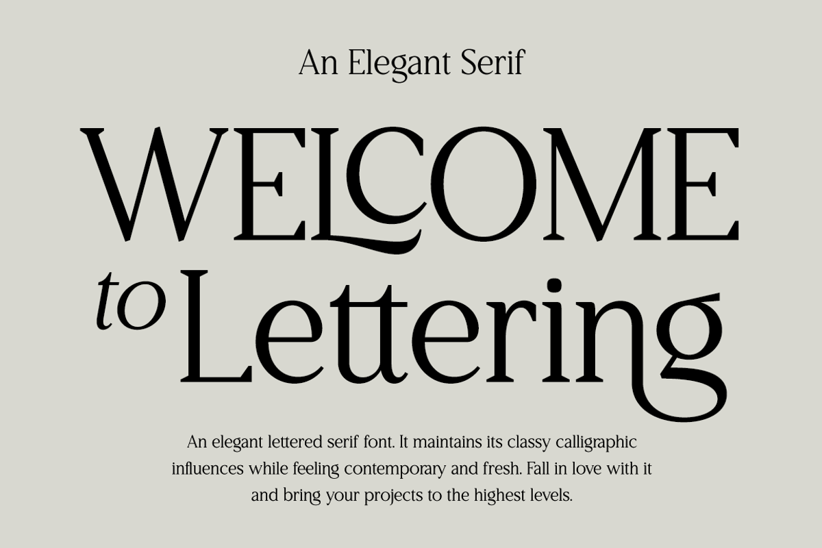 Welcome to Lettering, a Serif Font by RockboyStd (Photo 1 of 12)