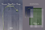 Crumpled Paper Texture Overlays, a Texture Graphic by Purple (Thumbnail 10 of 17)