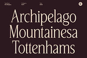CS Allegory – Elegant Serif Font, a Serif Font by Craft Supply Co. (Thumbnail 7 of 8)