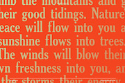 Day Fog – Hand drawn Vintage Serif, a Serif Font by Vicarel Studios (Thumbnail 11 of 12)