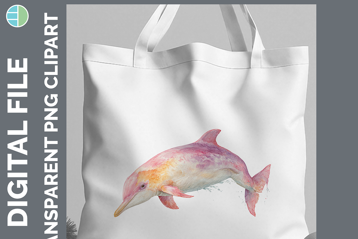 Dolphin Illustration Bundle, 22 PNG, an Animal Illustration by Enliven Designs (Photo 2 of 8)