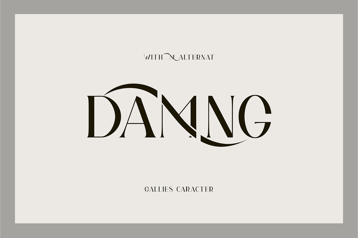 Gallies Ligature Serif Typeface, a Serif Font by Humaira_std (Photo 9 of 9)