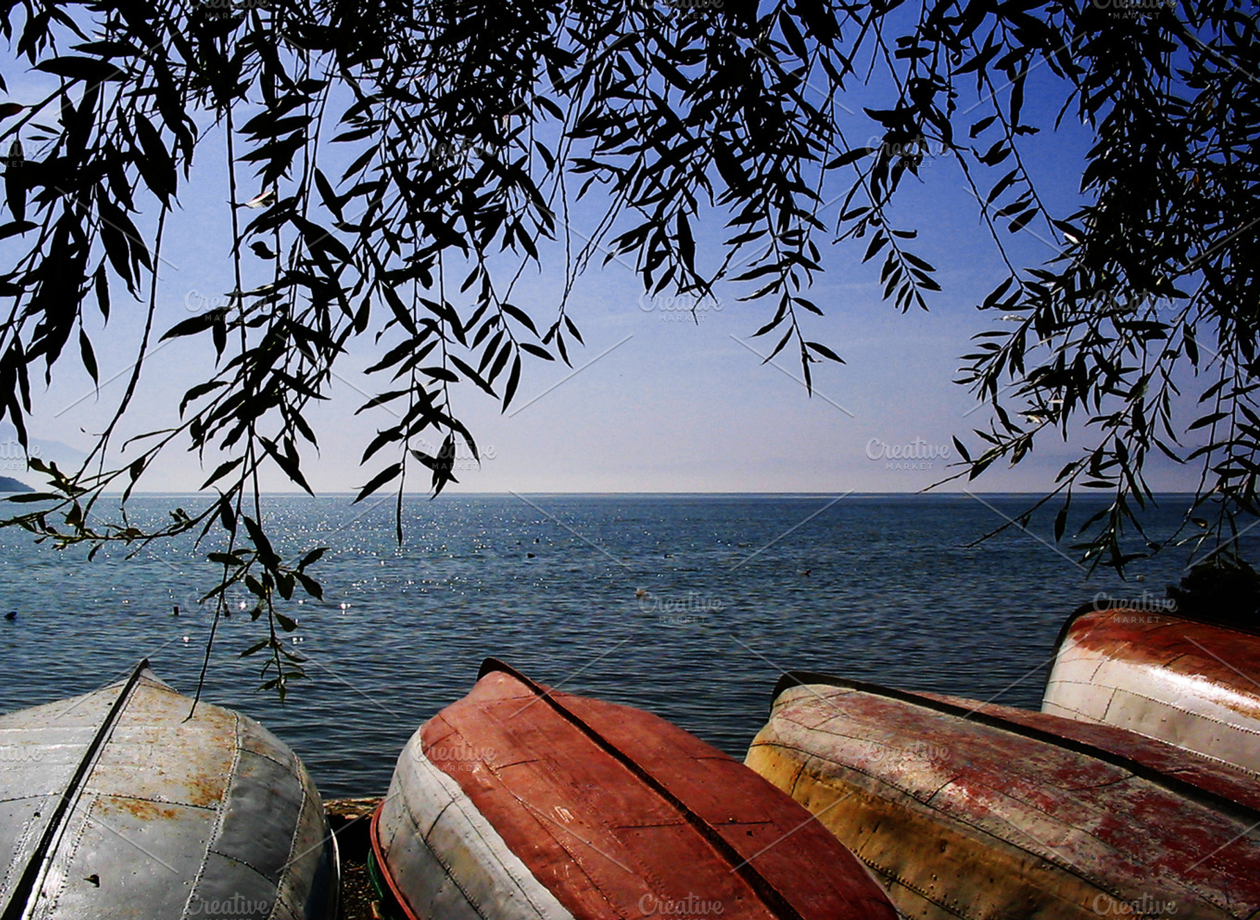 Lake Shore Stock Picture