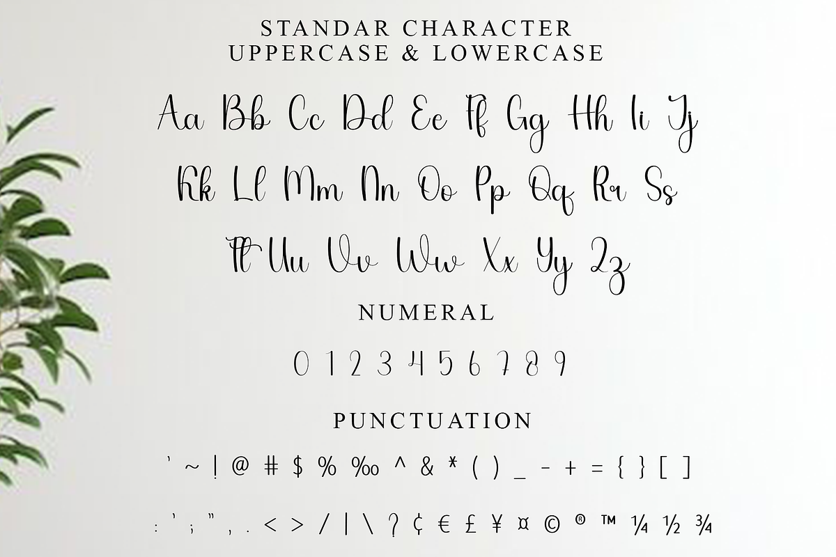 Baseball, a Handwritten Font by InermediaSTUDIO (Photo 5 of 8)