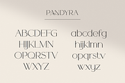 Pandyra - Delicate Luxury Serif, a Serif Font by HipFonts (Thumbnail 4 of 12)