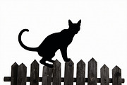 Elegant Cat  Silhouette Bundle, an Object Graphic by hafijul (Thumbnail 9 of 10)