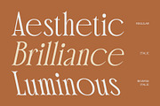 CS Malicious – Elegant Font, a Serif Font by Craft Supply Co. (Thumbnail 4 of 8)