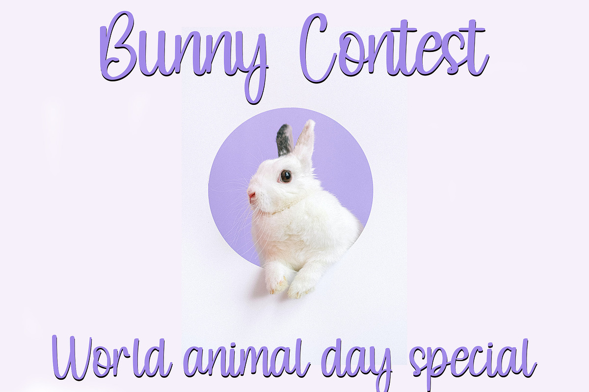 Rabbit, a Handwritten Font by InermediaSTUDIO (Photo 2 of 6)